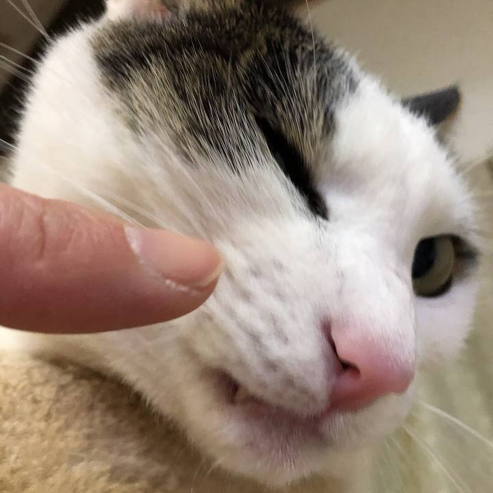 Cd31b9b8 d84c 4cd0 a30f 91a5ffcf15b6 1677155048076