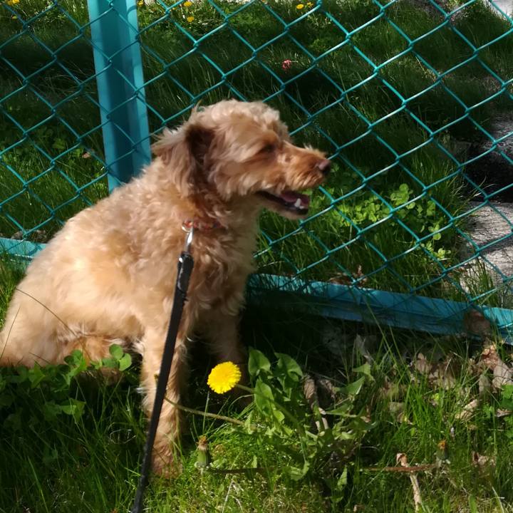 Cd31b9e5 3719 41f7 b1ad 0b625c45b214 1558145167607