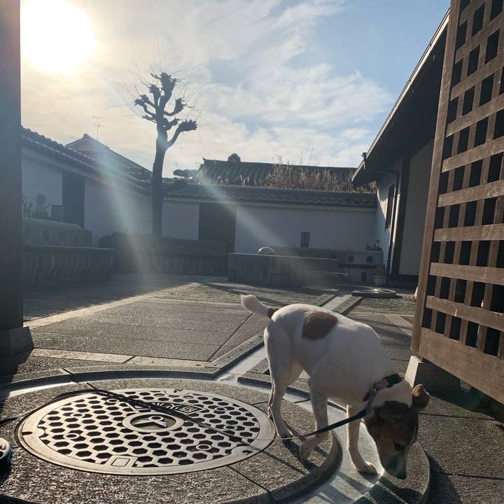 Cd31c6fc 7806 49d7 9944 a5877cffea79 1582538034303