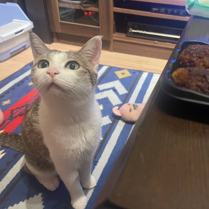 Cd31ef62 f899 4bf2 9f4f d8cf2beff460 1692107470966