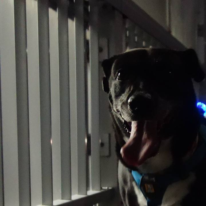 Cd32689e d5cd 4445 8354 b75a3ff8b570 1694255752582