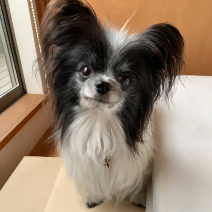 Cd327c15 be0d 482c 999d 19aa5f91c09c 1618524449435