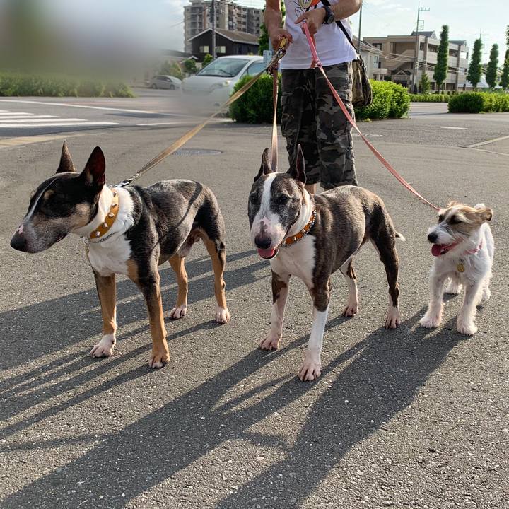 Cd328b03 f766 4d2b b390 dba0fcceb99a 1594551295722