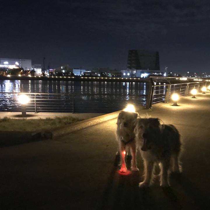 Cd32e80b 3e39 42b6 b783 7a4ce5fd4954 1574057564107