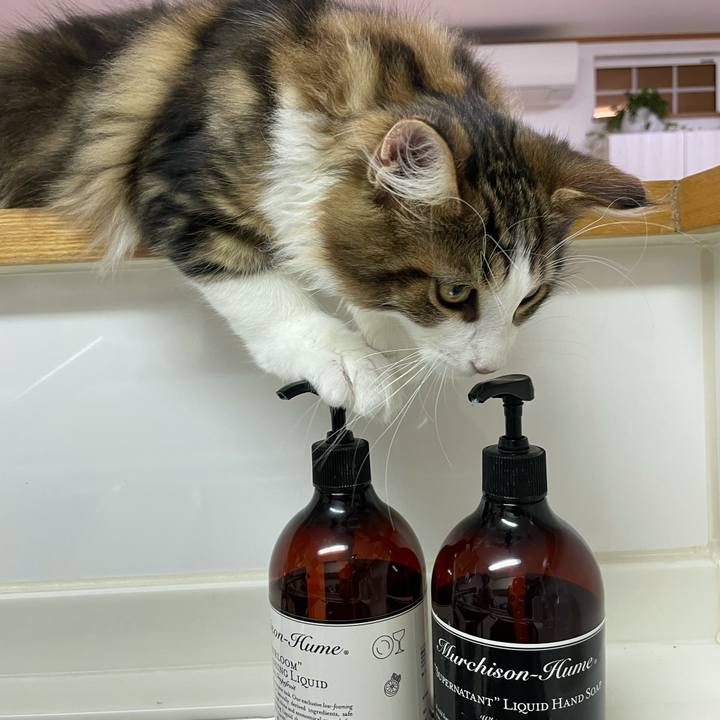 Cd3300c2 555d 4bdf 9be1 0452b46eeb90 1635843756408