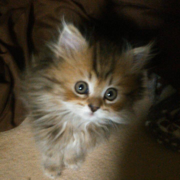 Cd331f30 575f 40e5 8c20 146ec691a0d5 1596519148627