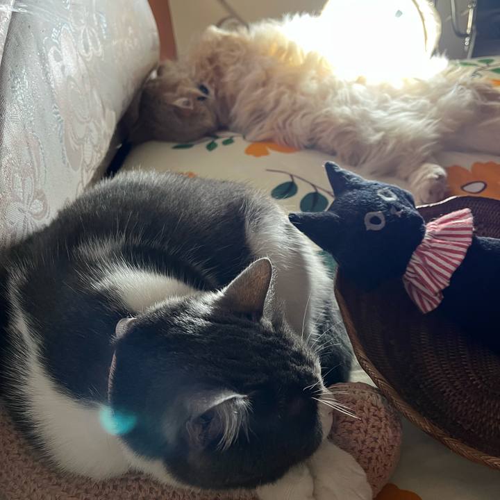 Cd33621b c34d 43c3 9ec7 61542829a52e 1763998272160