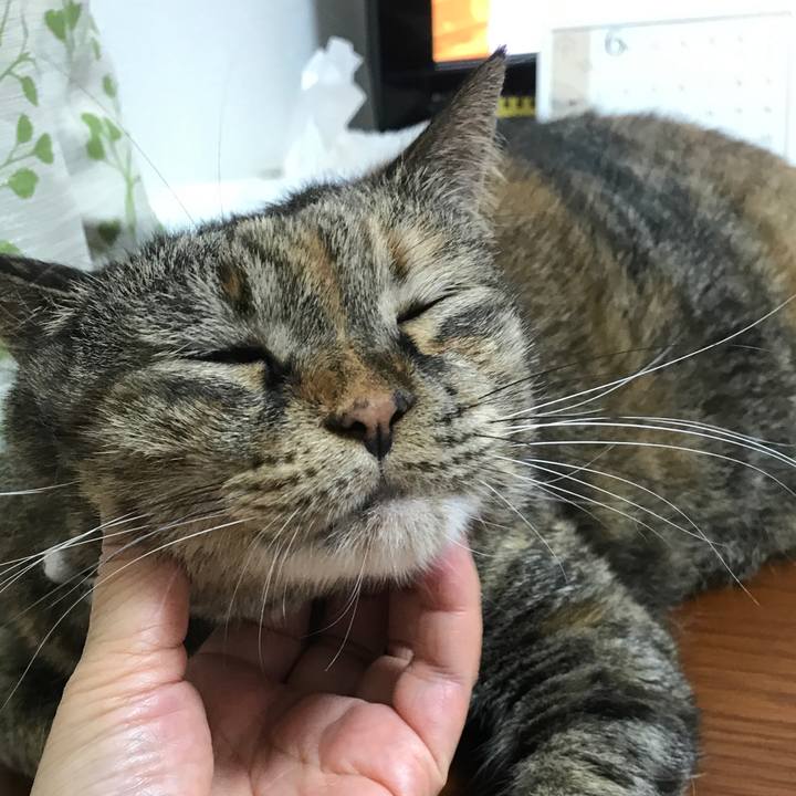 Cd338739 d8fa 4e12 944b 7a017ec8c11a 1528201243407