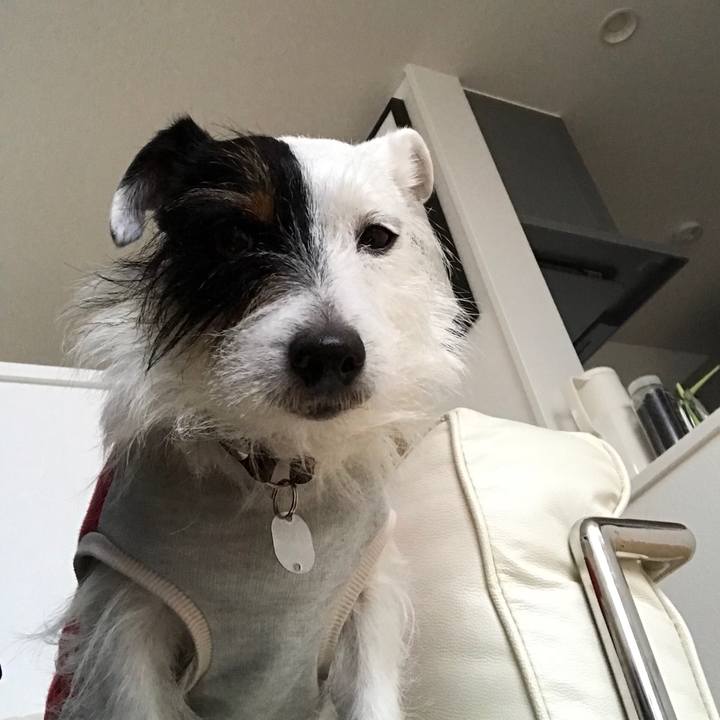 Cd339693 9e2b 4421 90ec 086d2a6fcd2d 1516171123798