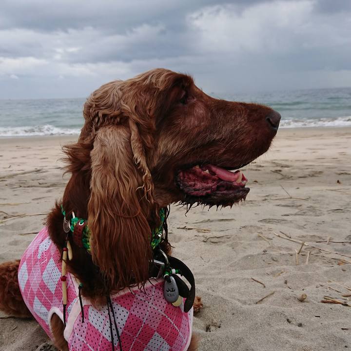 Cd33a9e3 6017 4ab6 bc21 d6244dbafd2c 1559294837513