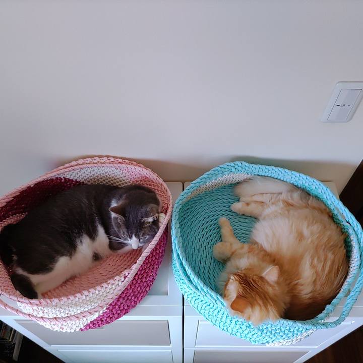 Cd33aa9f 19f5 4772 8b73 01c61b690b3d 1658106105256