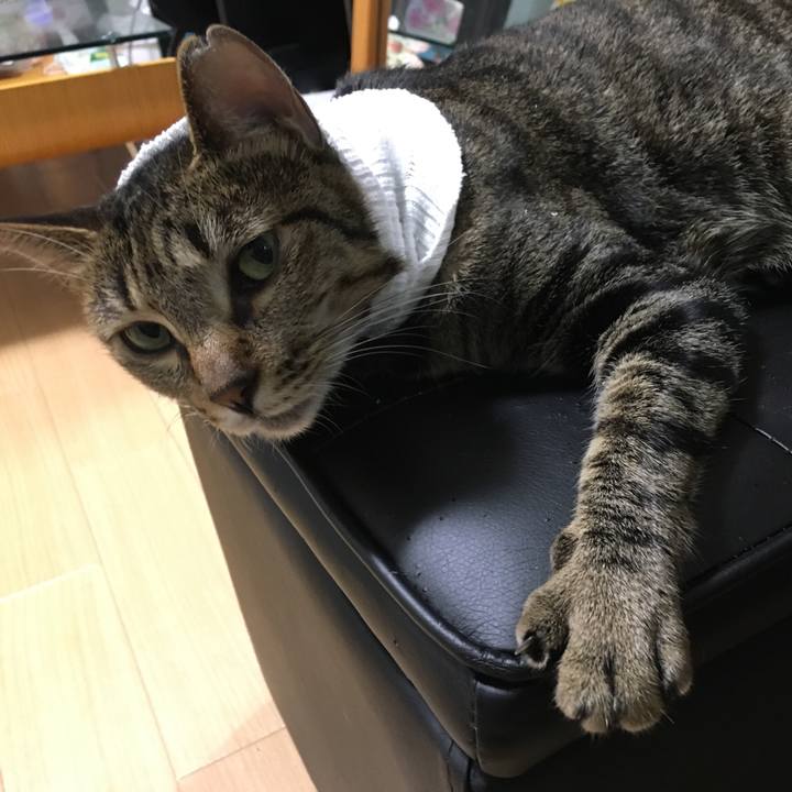 Cd33b688 7109 47a6 8142 756887c192f6 1531048202063