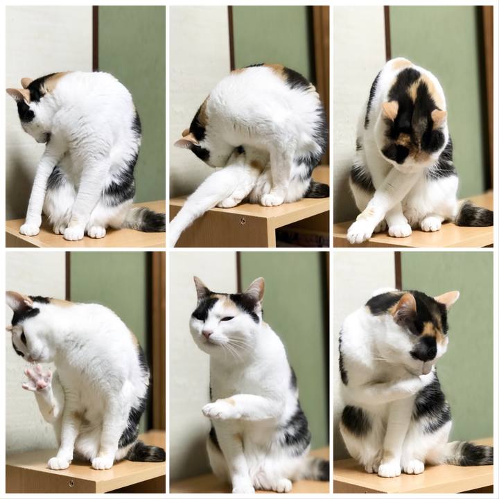 Cd33d9ac 3b35 4628 a67a 40541e7e0c1c 1523459719957