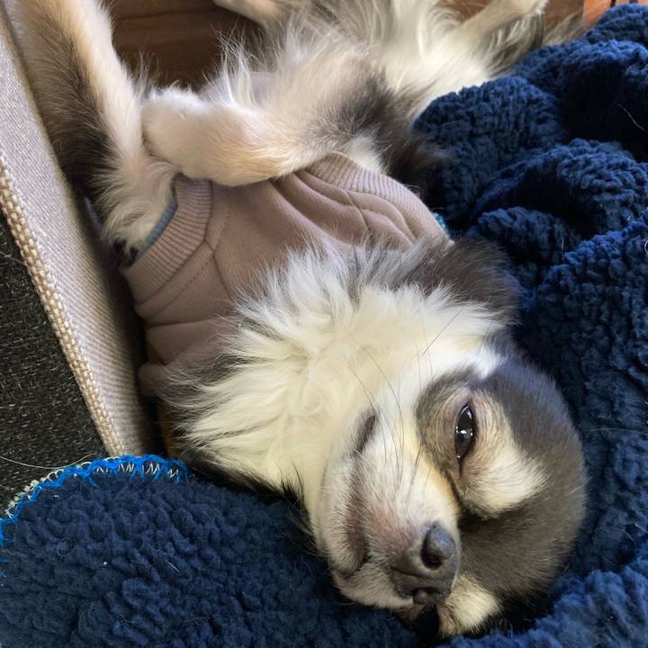 Cd33ee19 1069 45c6 8dac d2605a29020e 1676127941815