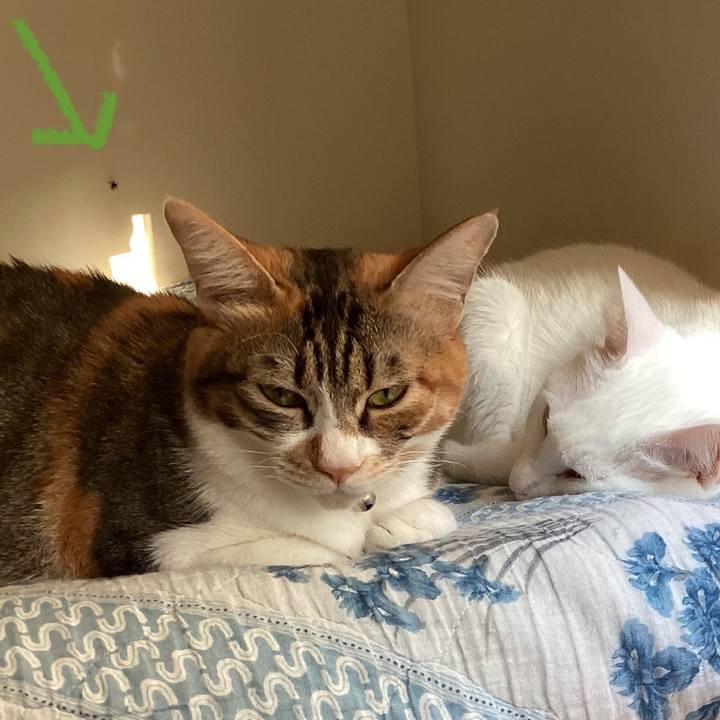 Cd345bfb 6c91 4e99 a5ea bc760f3bb417 1698995562914