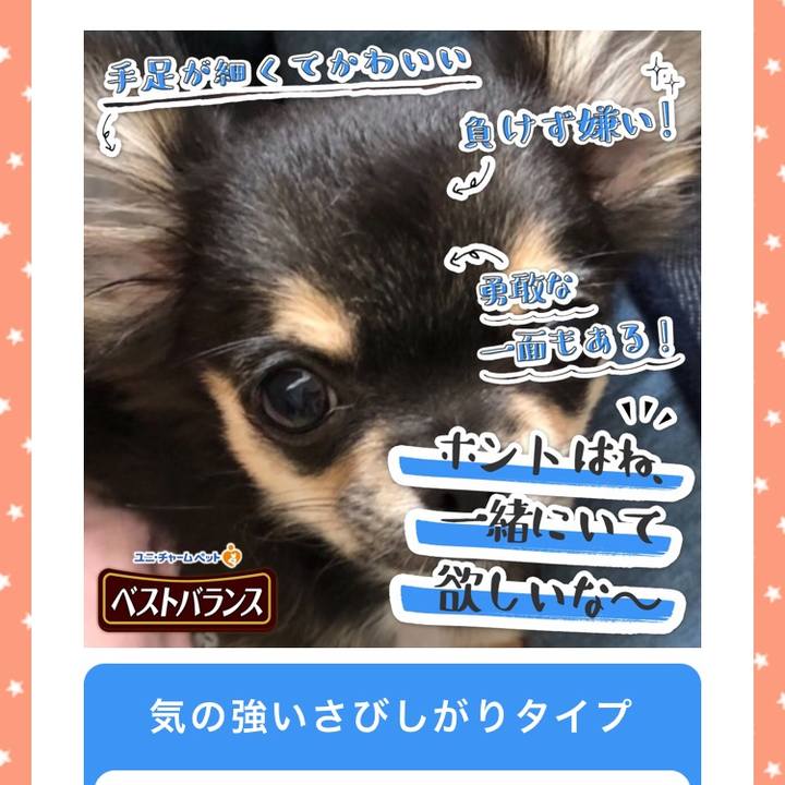 Cd345d63 480e 46ef 9cf0 6801a533c57c 1541891947098