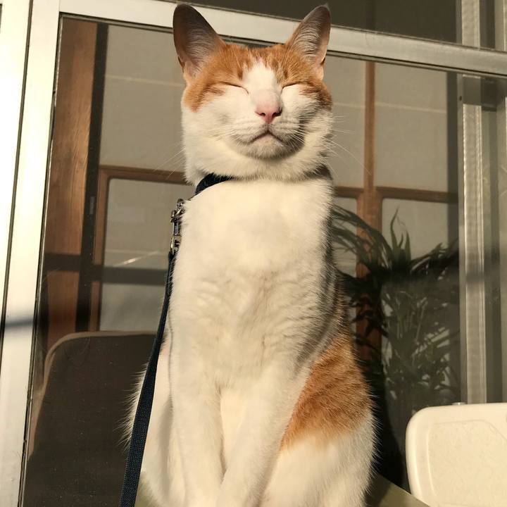 Cd345ebc 6f6c 4c95 903e 0742f515d1b5 1509922693346