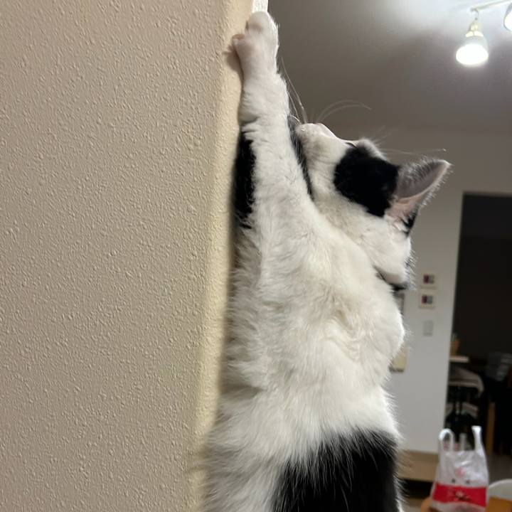 Cd34670d 1e71 4ddf 9478 c61dfff84606 1771369763373