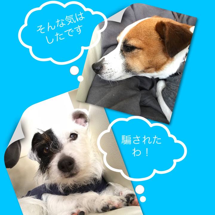 Cd34a92e 79a4 45ed 8d2e 3aaab38e0170 1523939368240