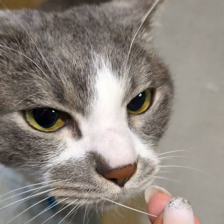 Cd351c60 4947 443e 8160 cc511226dac6 1769778642922