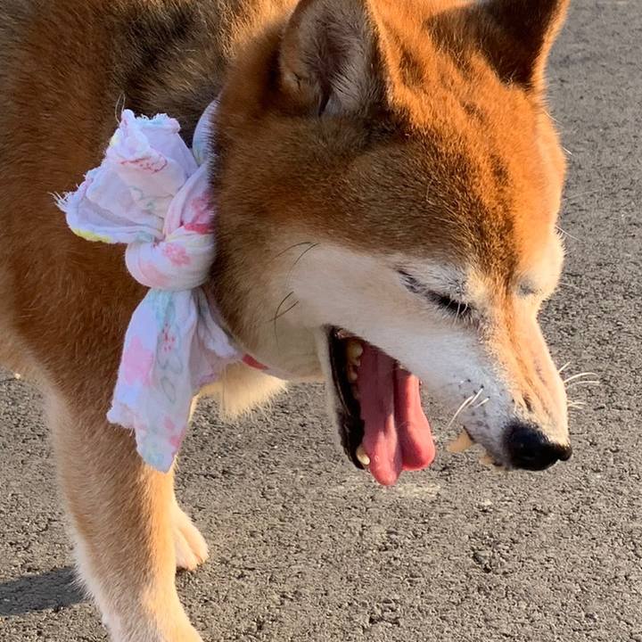 Cd3520a1 94a4 453b b26a 2c14f6179e6d 1690017286361