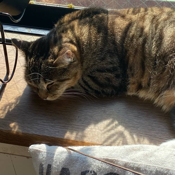 Cd352dea def6 4421 ac7f fe905ea83b26 1610297067297