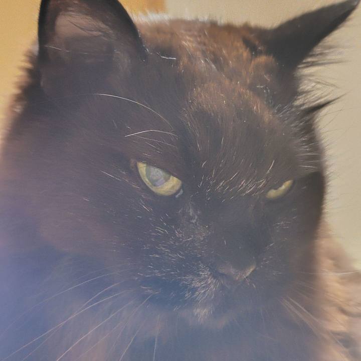 Cd354dfb 72bb 40db 9e04 20836e6e4dfa 1774617488951