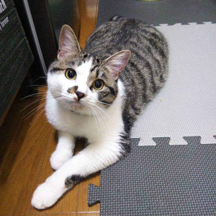 Cd355f48 9f88 4844 b3ac 83f9c6b3214f 1622814442696