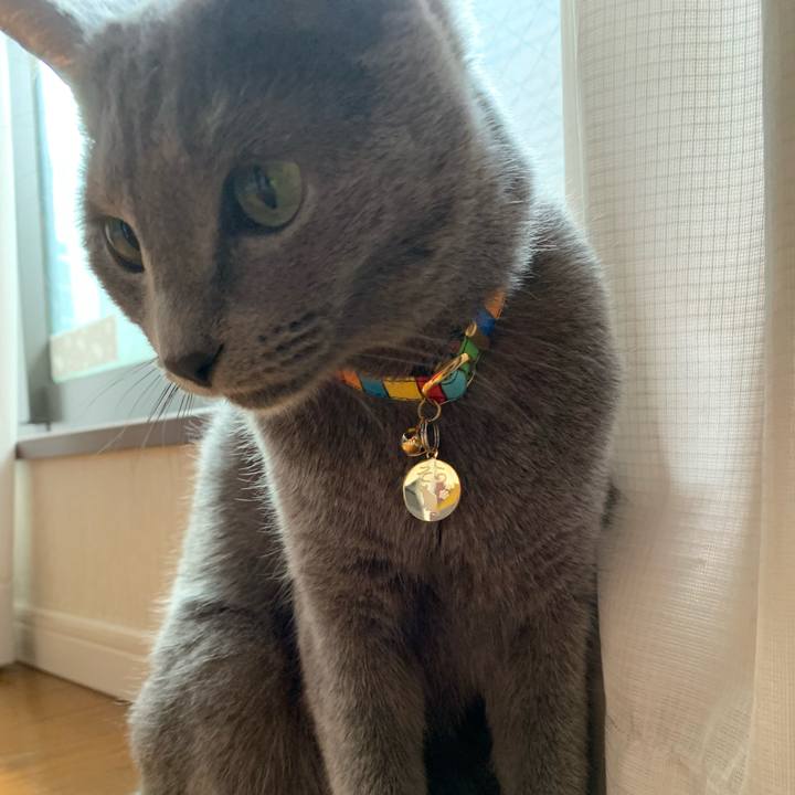 Cd3567c9 3c14 4d5d a775 594a74b7da71 1623673273595