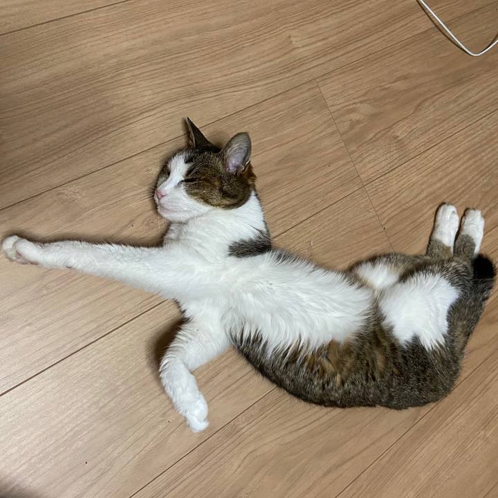 Cd356a0b 0446 4f22 ba0b e39264a5bfc9 1591705745162