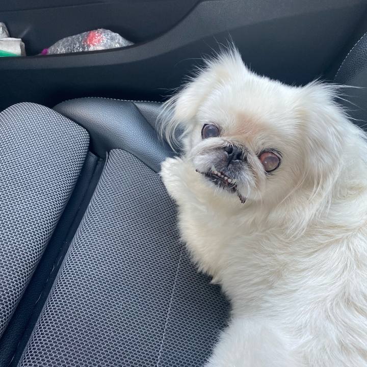 Cd3572a6 ab89 4b02 8144 f850dbba182c 1660795465872