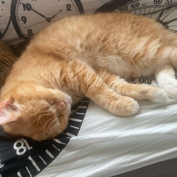 Cd3579bb d372 4583 815d 552b633692b5 1659711037679