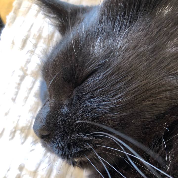 Cd35b627 3428 41e7 b6af 3721a818d359 1624667119490