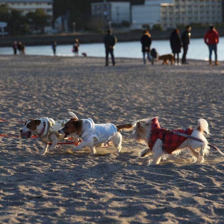 Cd35bf31 de01 471a a51c 6c064b57e2d9 1515253250573