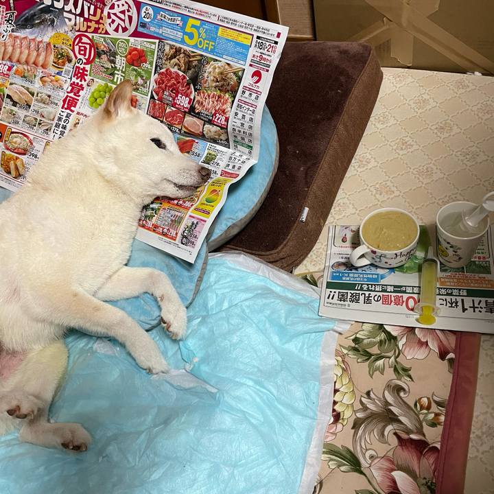 Cd35daab 8126 4f4b 955d bdfe572aed8e 1661694741440