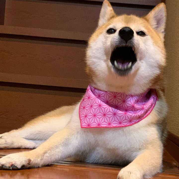 Cd361bf7 c48c 4b63 8647 a383d9a8565d 1624792686546