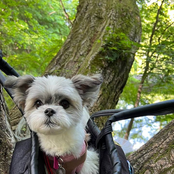 Cd365cdf 295e 433d 9f67 7e479142283c 1685623567373