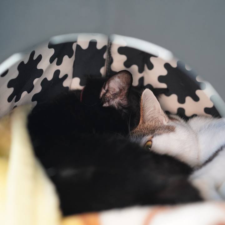 Cd36920f c18d 45ed 89d0 0d3bc92f7e8a 1578897275668