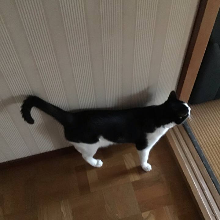 Cd3692ad 1fa0 4793 9160 c81ad48a0ce4 1721979496681