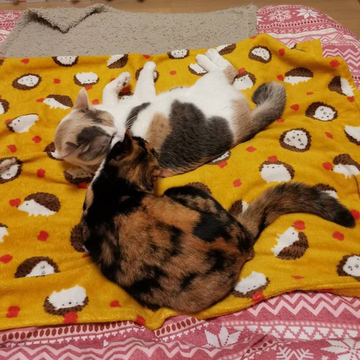 Cd369d32 757e 4f55 bb35 e92b864e7d1d 1644898445912