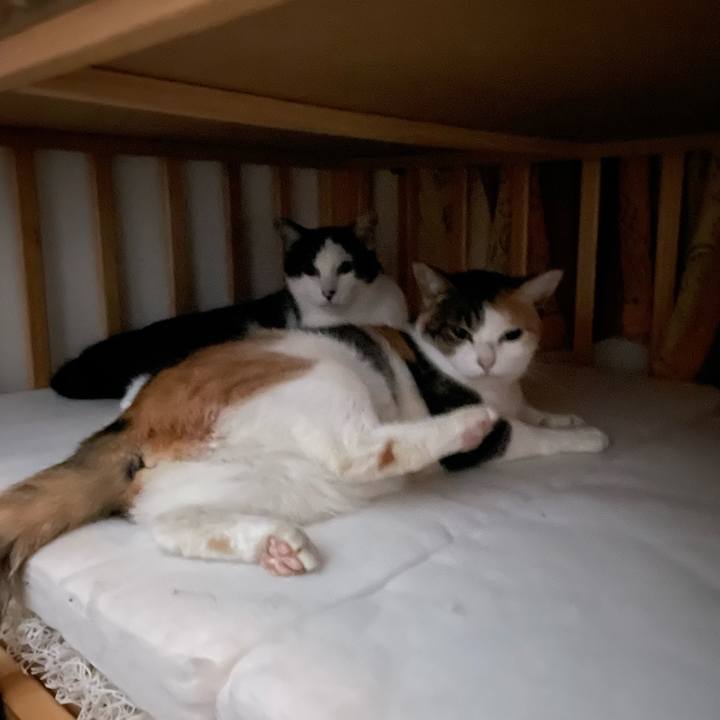 Cd36dce8 5fdf 44b5 b93e 94cf9e95a359 1665954449019