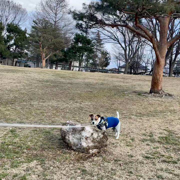 Cd36e2aa 3722 4474 bd26 0293a2033312 1740746371550