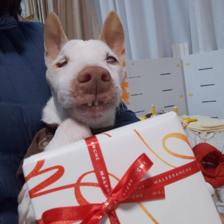 Cd376133 2f0e 417e a63b a0f60a7089f4 1615721461089