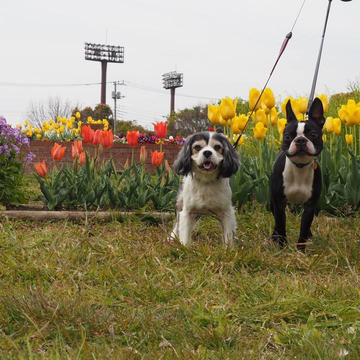 Cd376264 798e 4699 aa7e d3aee21596c9 1555206359971