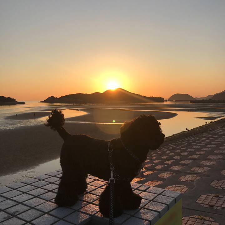 Cd379069 a001 484a b5fb a667f03f25dc 1529152978046