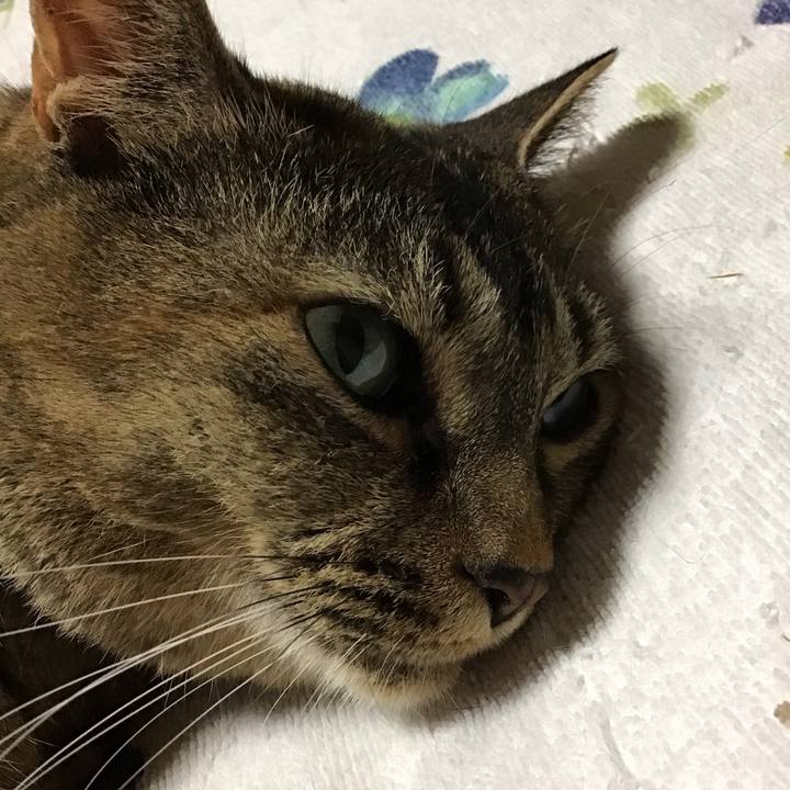 Cd37ba2c da4b 4d01 88e5 f43e27e2358b 1753344960720