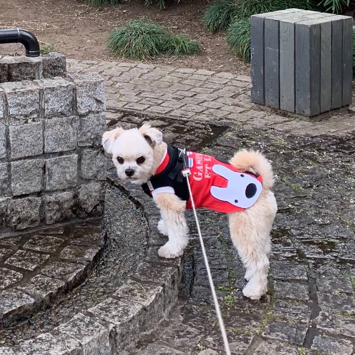 Cd37dd94 2b14 4517 afdd 718fdd1c3c90 1553780496916