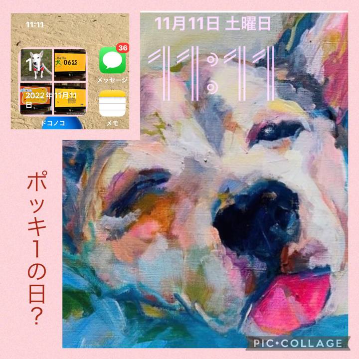 Cd37fdc2 27da 4b1c 819b 3b6c07a317ff 1699669087690