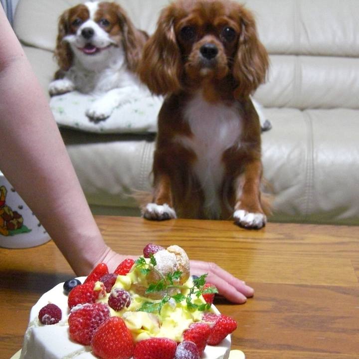 Cd3833d0 cd48 48c8 a744 47a9ccb9d48e 1519128854332