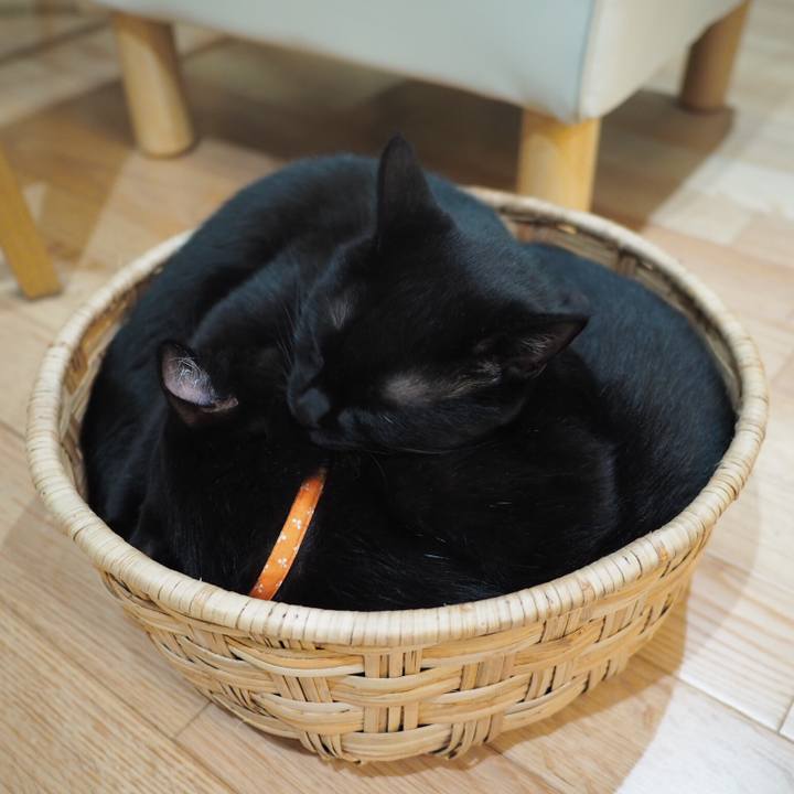 Cd3834bb 44a0 4fe2 89dd 9f4482da7466 1537773444354